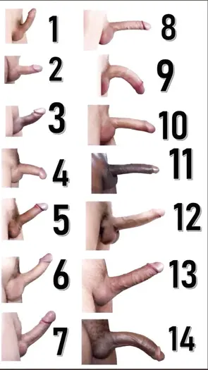 Penis Size Compare between Countries